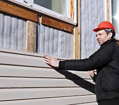 Best Siding Painting and Refinishing  in Lexington, MI